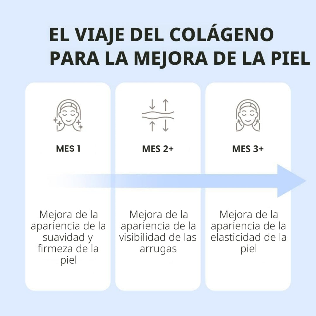 Certificación GMP de Intertek para los suplementos NOW Foods en Nutribody, que garantiza la auditoría del proceso de fabricación y control de calidad.