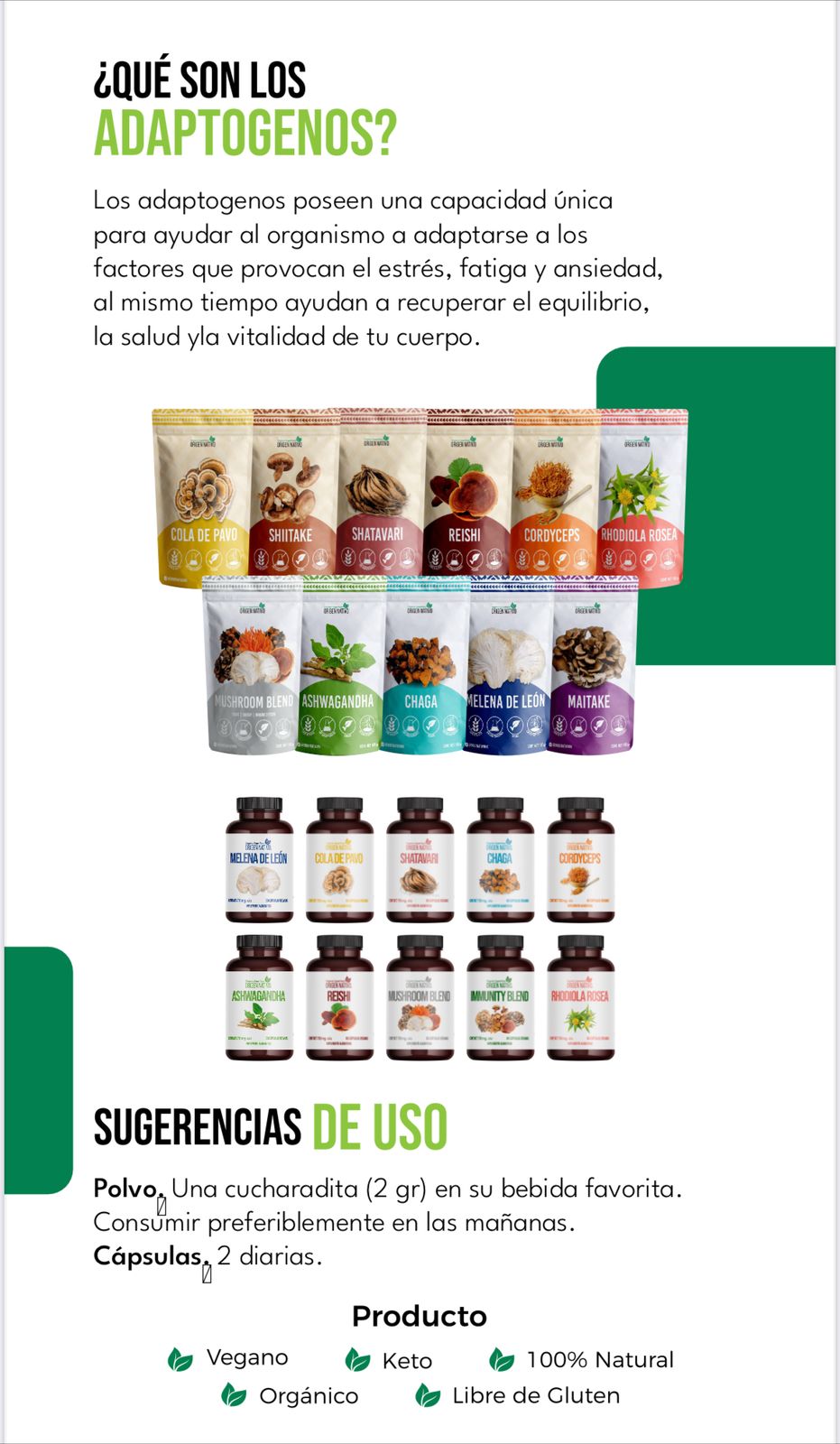 Chaga Orgánico en Cápsulas Origen Nativo