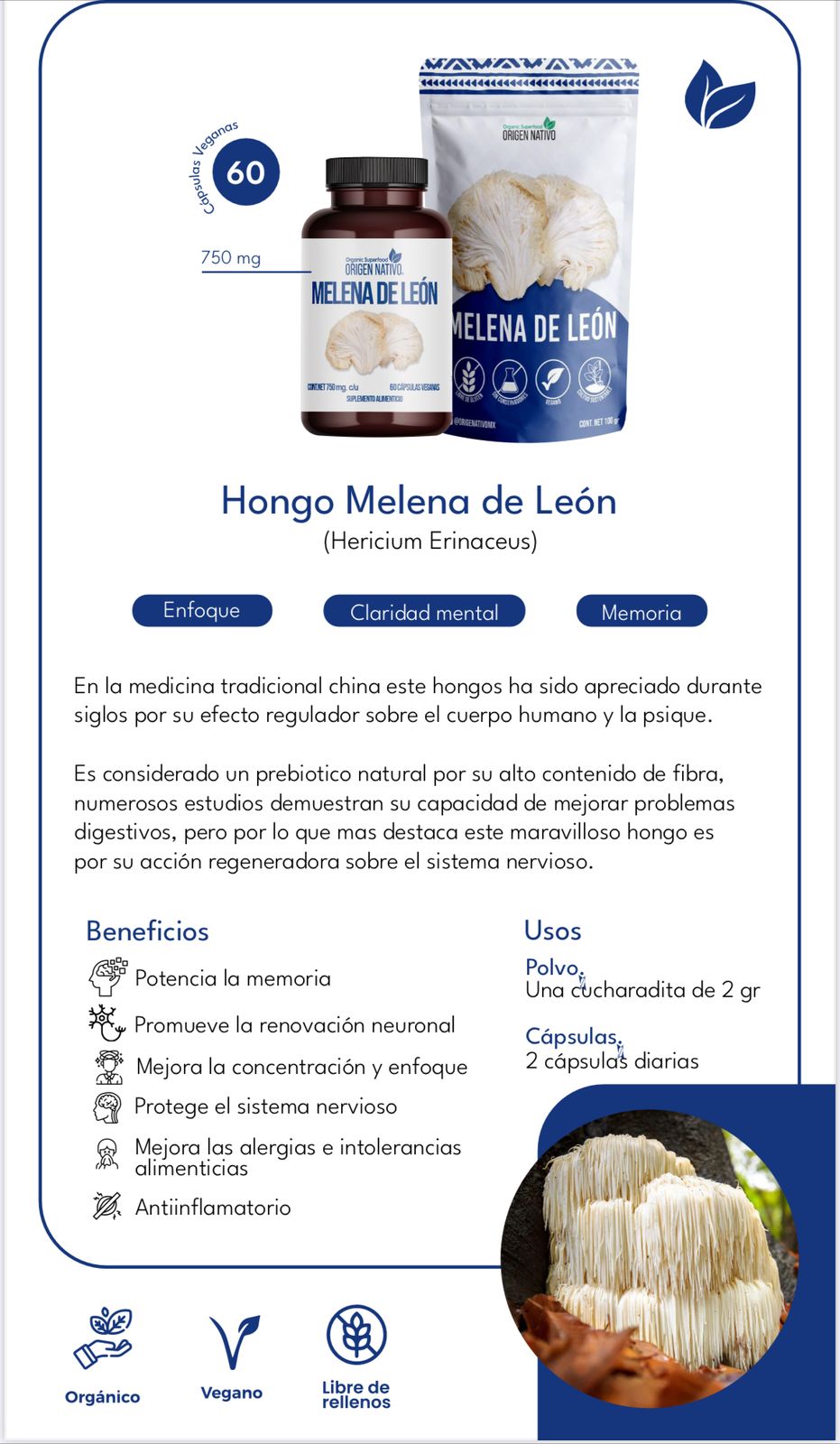 Melena de Leon en Polvo Origen Nativo