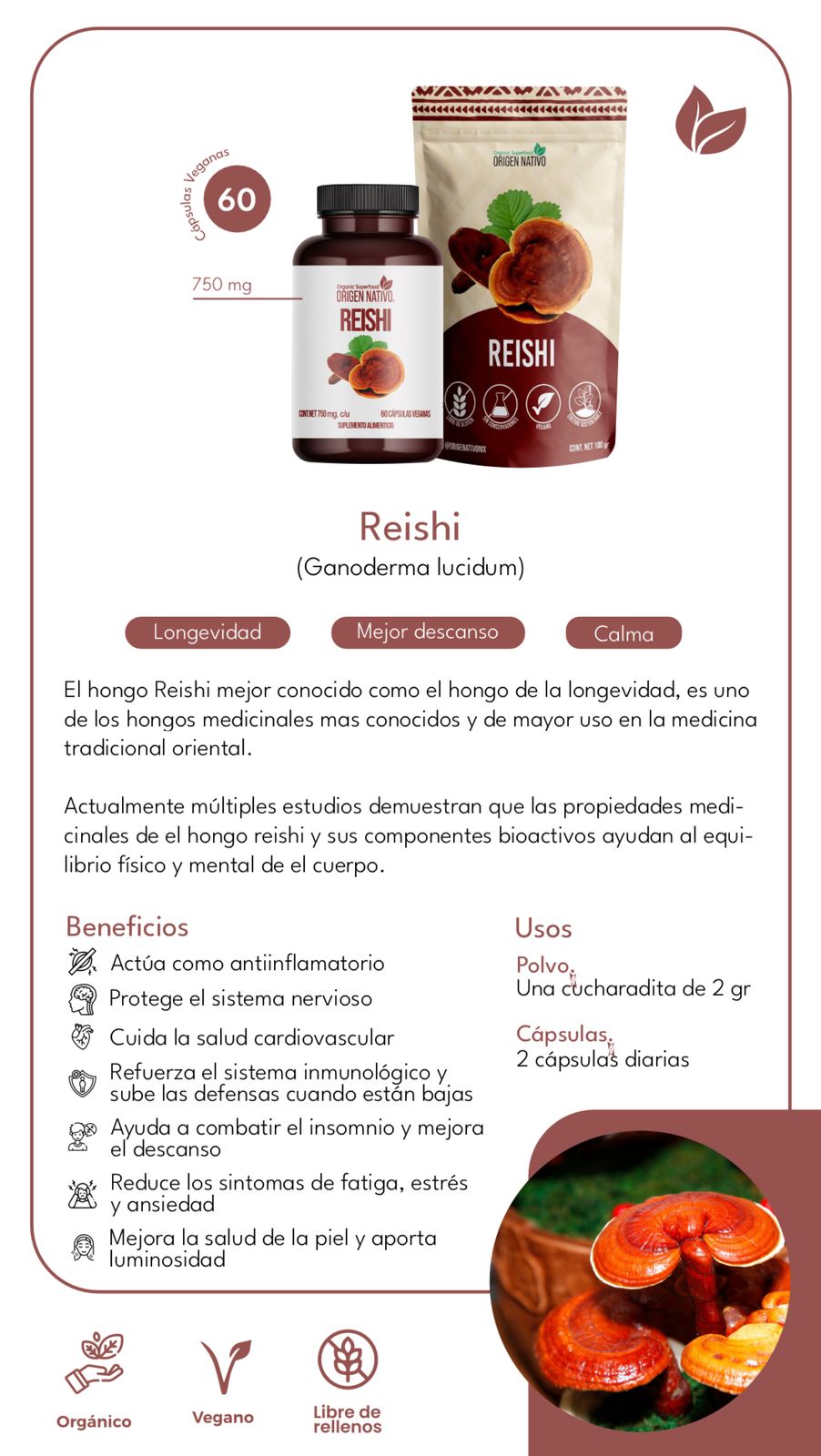 Reishi Orgánico en Polvo Origen Nativo