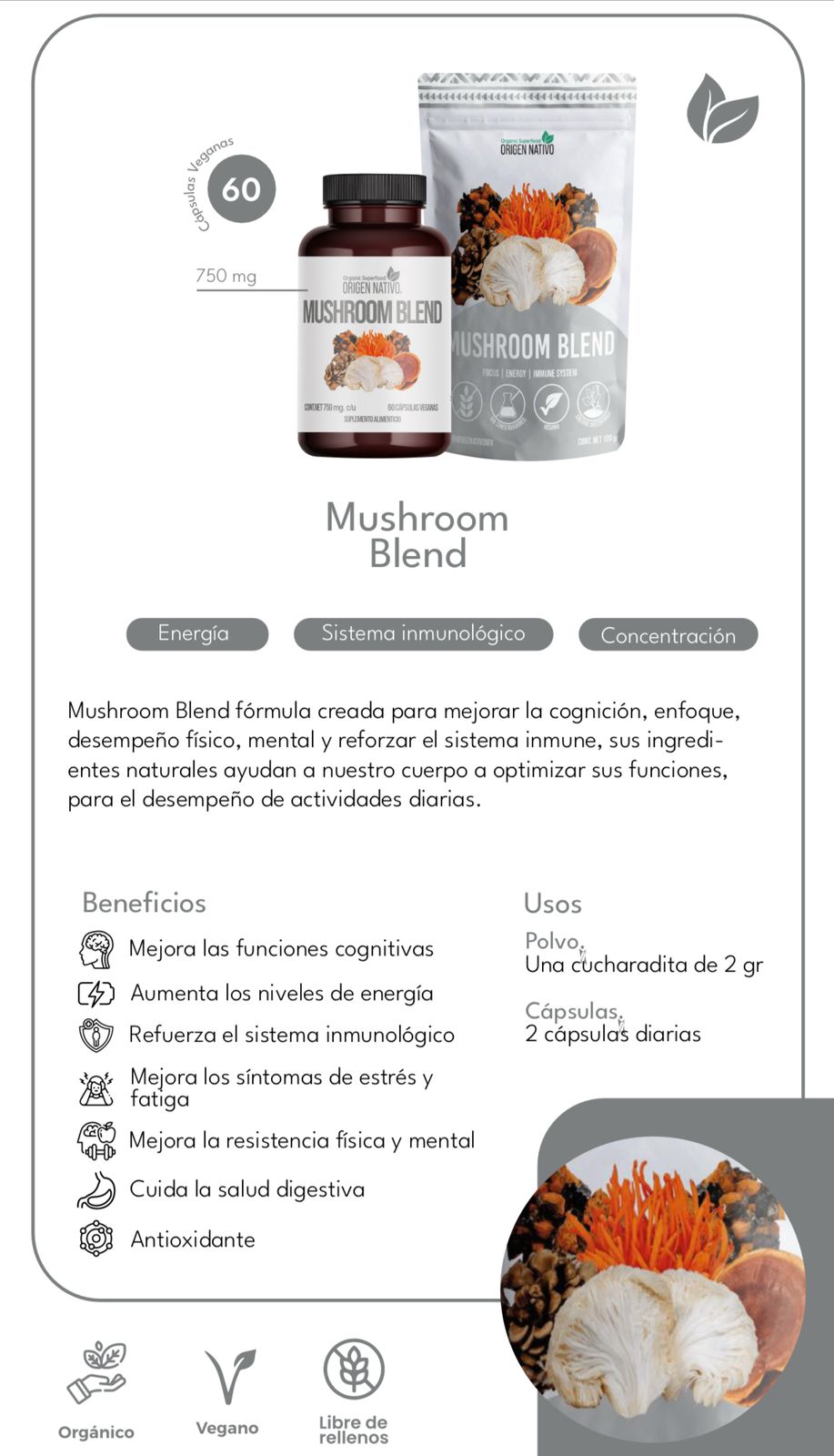 Mushroom Blend Orgánica en Polvo Origen Nativo