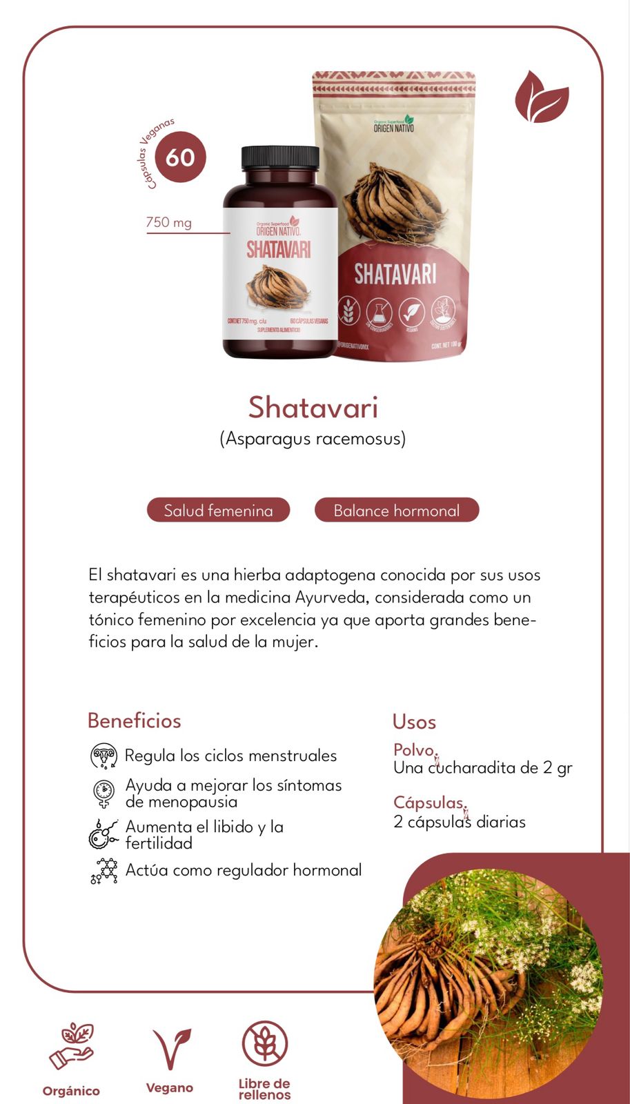 Shatavari Orgánica en Polvo Origen Nativo