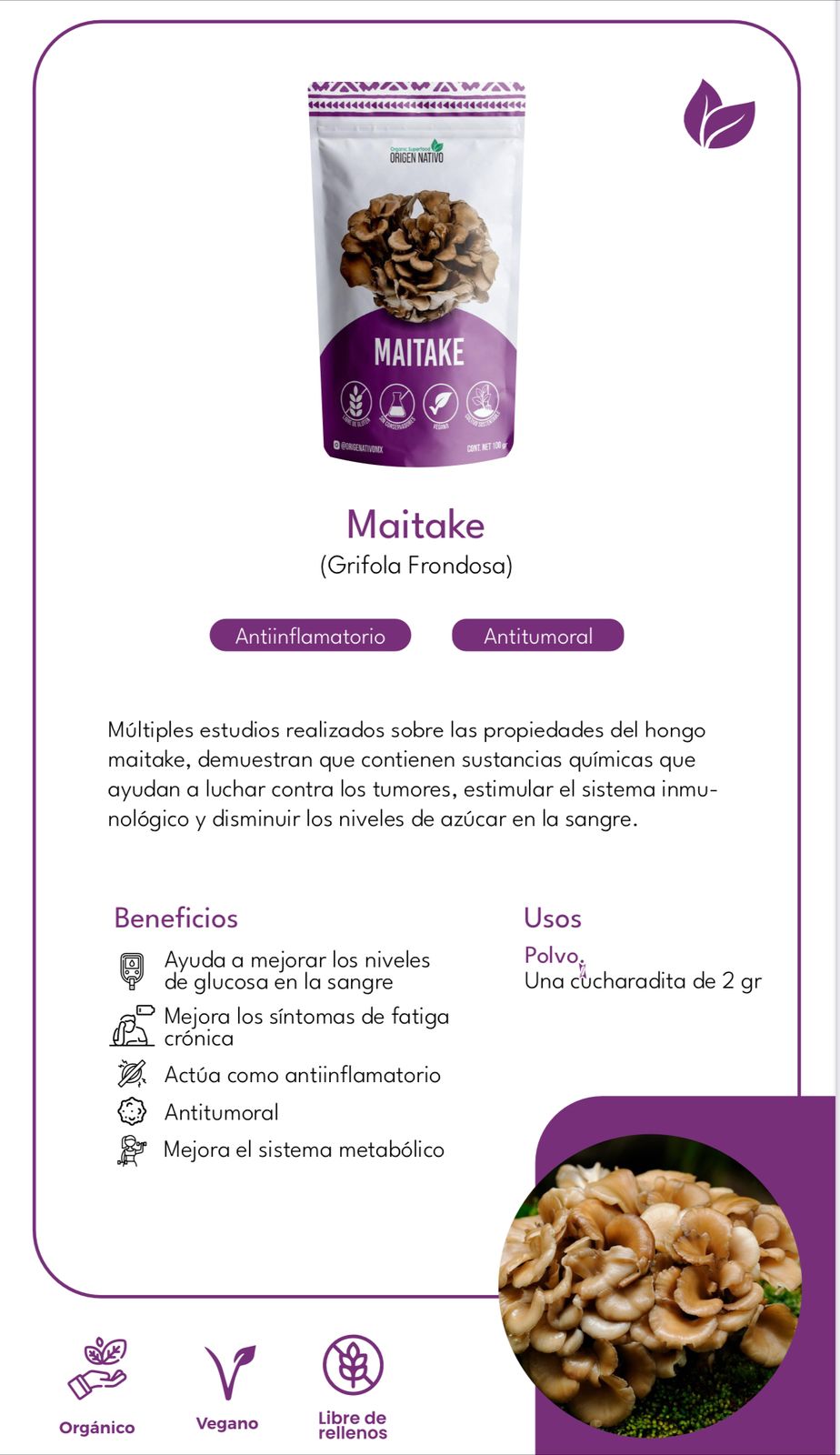 Maitake Orgánico en Polvo Origen Nativo