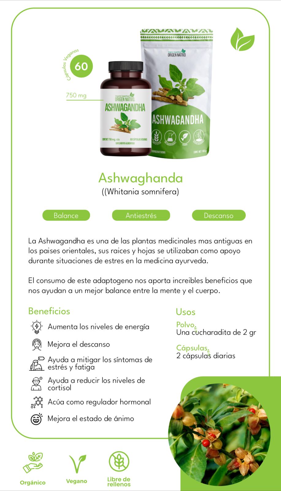 Ashwagandha Orgánica en Polvo Origen Nativo