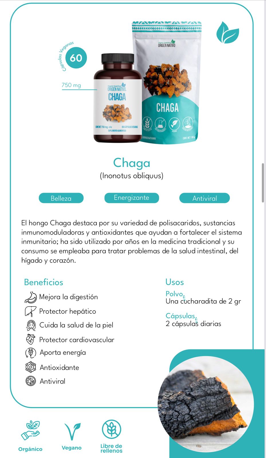 Chaga Orgánico en Cápsulas Origen Nativo