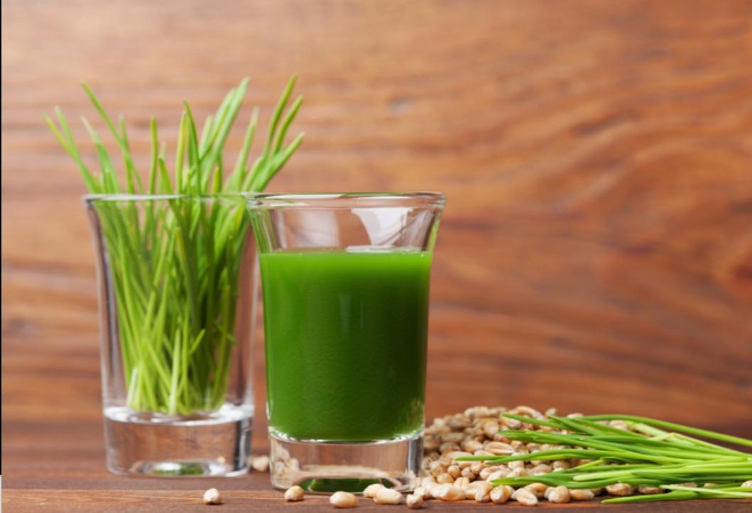 Pasto de trigo orgánico en polvo, paquete de 3, desintoxicación, superalimento verde, suplemento de bienestar.