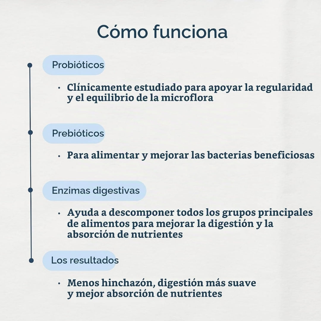 Infografía de cómo funcionan las Enzimas Digestivas Zenwise: probióticos, prebióticos, enzimas digestivas y sus resultados, disponible en la tienda Nutribody.